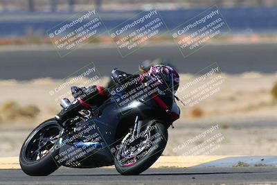 media/Apr-10-2022-SoCal Trackdays (Sun) [[f104b12566]]/Turn 14 (10am)/